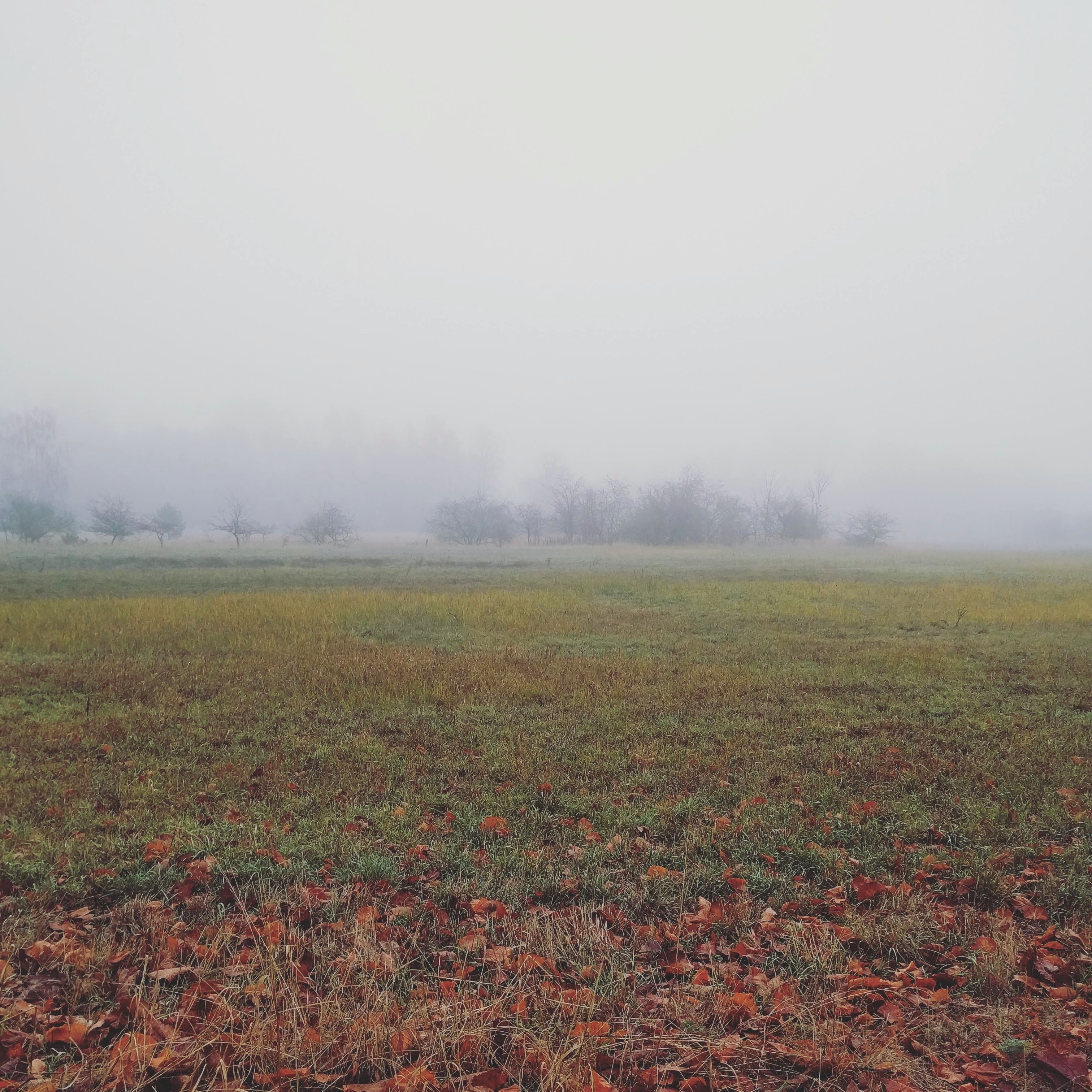 האופק פתוח, הפרטים כן נחשבים