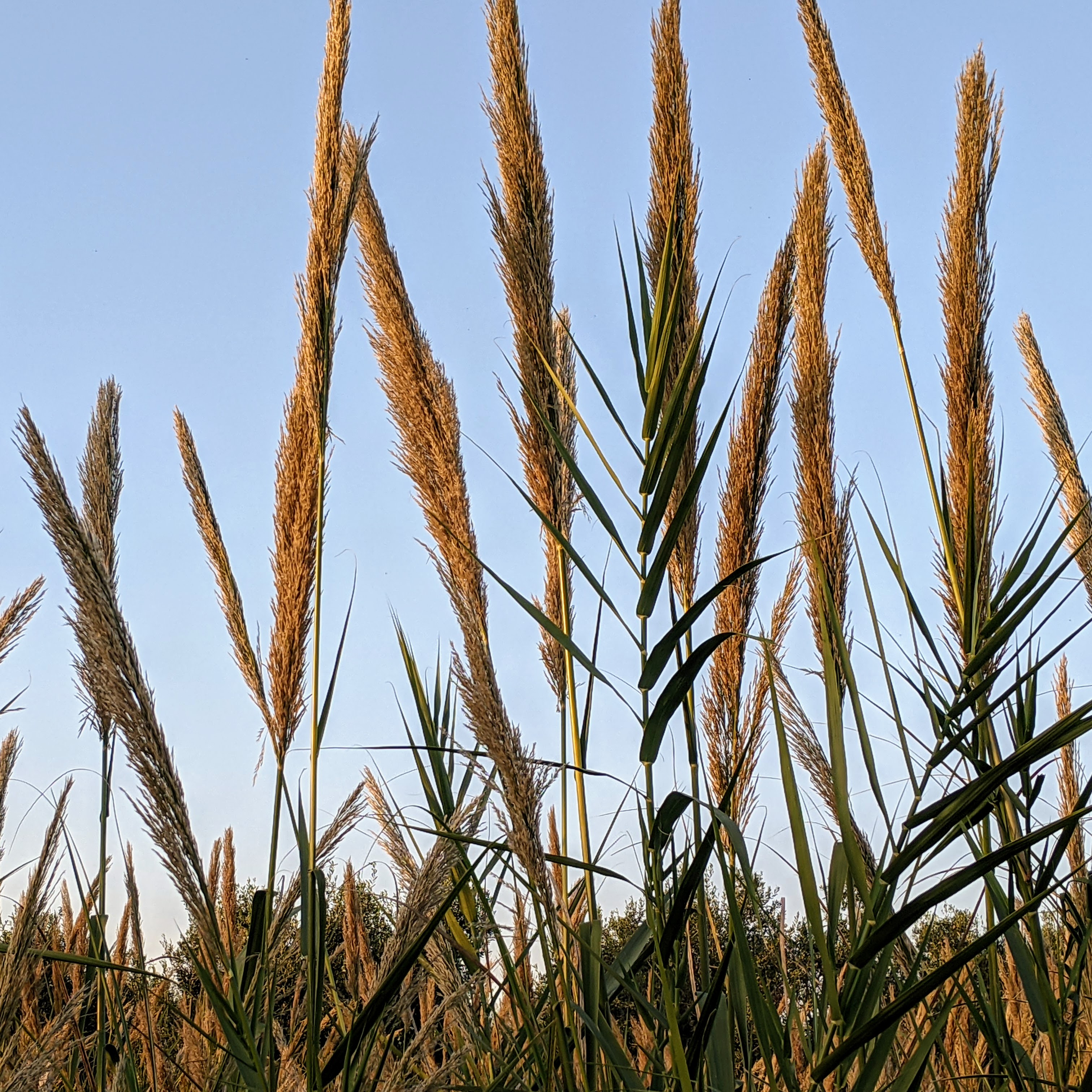 לירז אקסלרד – הולכת בדרך, בצעדים קטנים